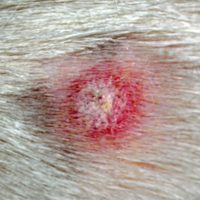 Service de dermatologie