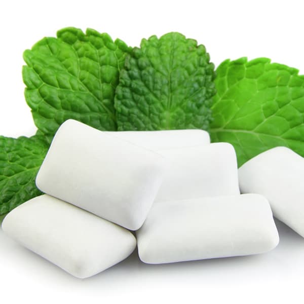 intoxication par le xylitol chez le chien (chewing-gum)