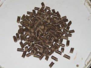 Le tourteau de ricin, souvent utilisé comme engrais, est responsable de graves intoxications chez le chien